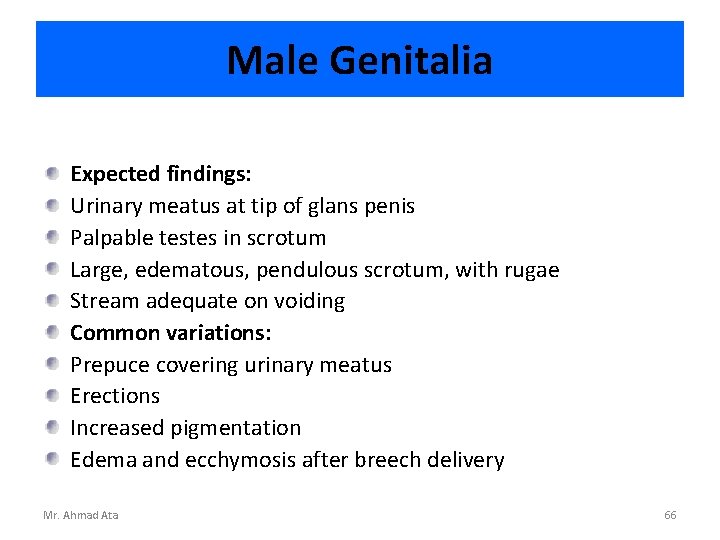 Male Genitalia Expected findings: Urinary meatus at tip of glans penis Palpable testes in