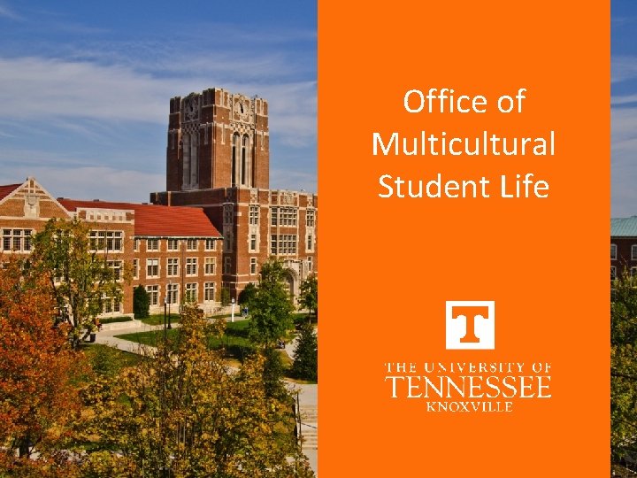 Office of Multicultural Student Life 