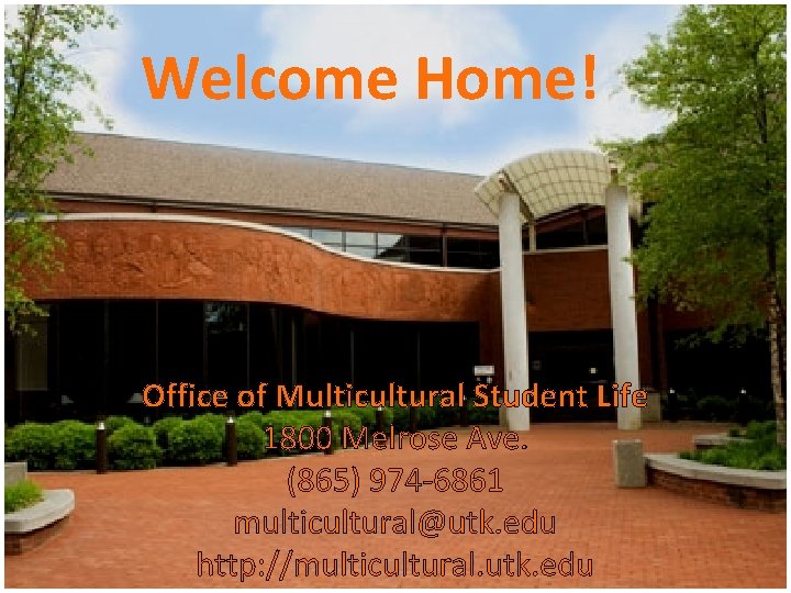 Welcome Home! Office of Multicultural Student Life 1800 Melrose Ave. (865) 974 -6861 multicultural@utk.