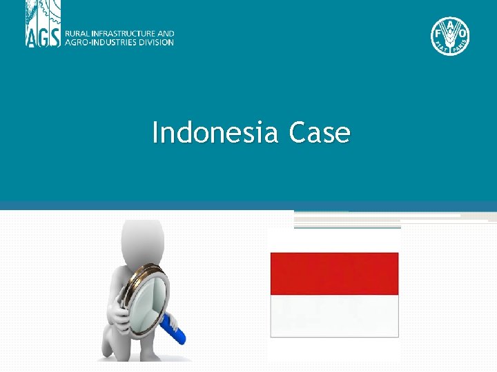 Indonesia Case 