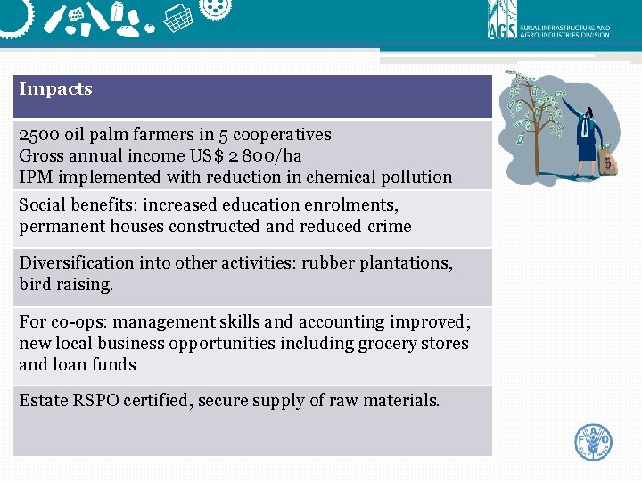 Impacts 2500 oil palm farmers in 5 cooperatives Gross annual income US$ 2 800/ha