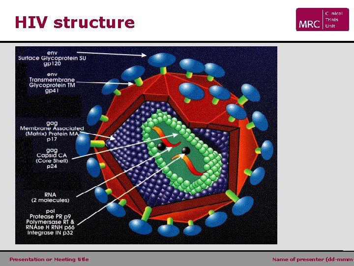 HIV structure Presentation or Meeting title Name of presenter (dd-mmm- 
