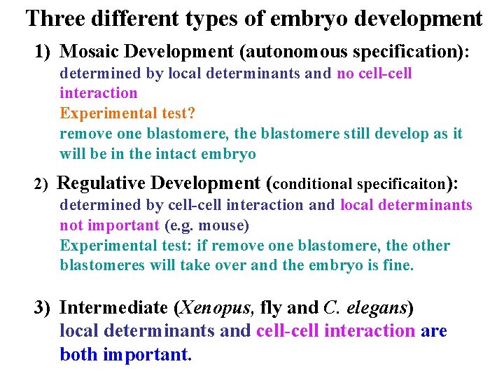 Three different types of embryo development 1) Mosaic Development (autonomous specification): determined by local