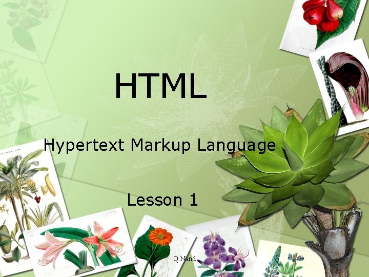 HTML Hypertext Markup Language Lesson 1 Q. Nand 