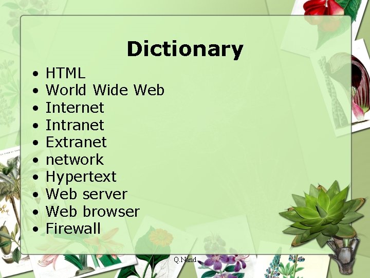 Dictionary • • • HTML World Wide Web Internet Intranet Extranet network Hypertext Web