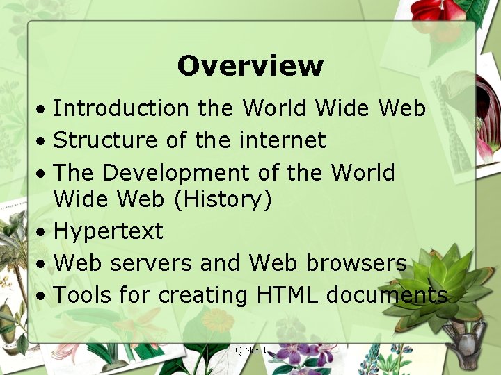Overview • Introduction the World Wide Web • Structure of the internet • The