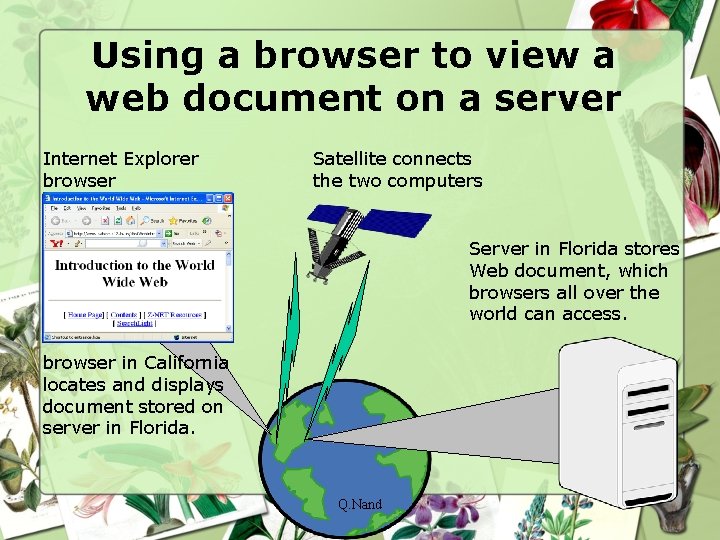 Using a browser to view a web document on a server Internet Explorer browser