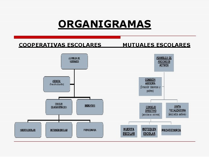 ORGANIGRAMAS COOPERATIVAS ESCOLARES MUTUALES ESCOLARES 