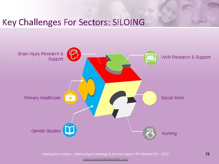 Key Challenges For Sectors: SILOING Brain Injury Research & Support Primary Healthcare Gender Studies