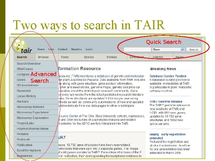 Two ways to search in TAIR Quick Search Advanced Search 