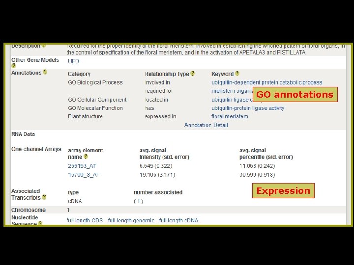 GO annotations Expression 