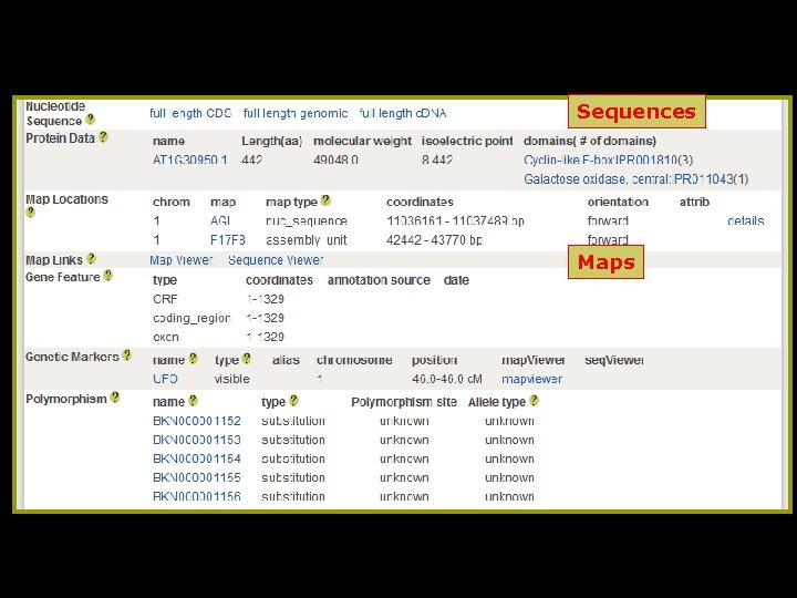 Sequences Maps 