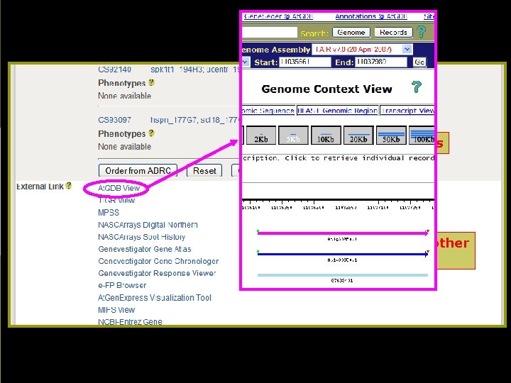 Seed lines Links to other sites 