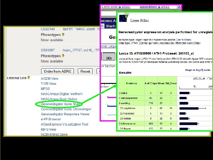 Seed lines Links to other sites 