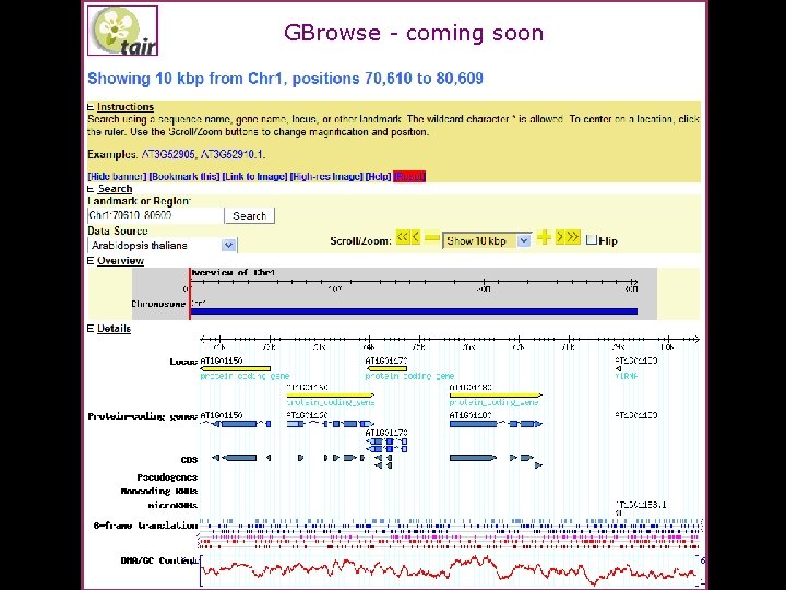 GBrowse - coming soon 