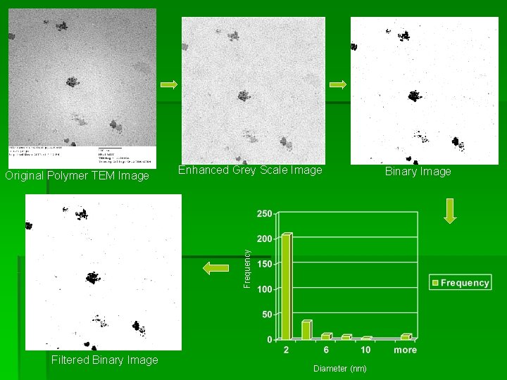 Enhanced Grey Scale Image Frequency Original Polymer TEM Image Filtered Binary Image Diameter (nm) Enhanced Grey Scale Image Frequency Original Polymer TEM Image Filtered Binary Image Diameter (nm)