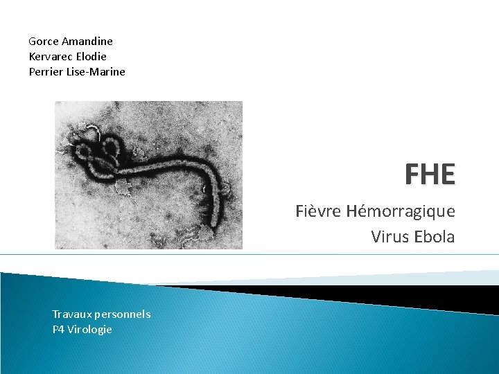 Gorce Amandine Kervarec Elodie Perrier Lise-Marine FHE Fièvre Hémorragique Virus Ebola Travaux personnels P