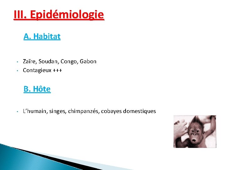 III. Epidémiologie A. Habitat • • Zaïre, Soudan, Congo, Gabon Contagieux +++ B. Hôte