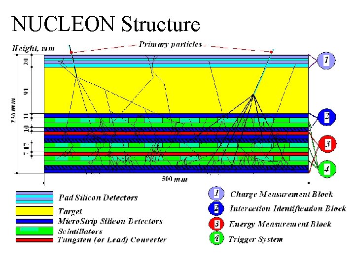 NUCLEON Structure 