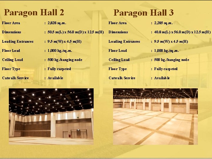 Paragon Hall 2 Paragon Hall 3 Floor Area : 2, 828 sq. m. Floor