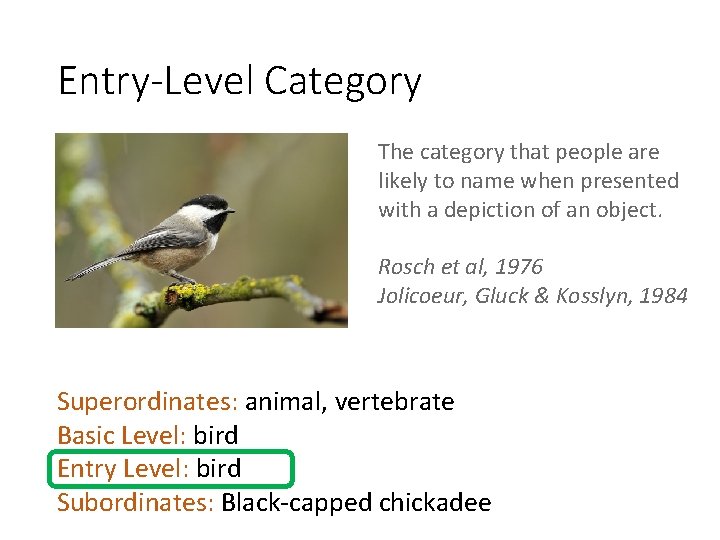 Entry-Level Category The category that people are likely to name when presented with a