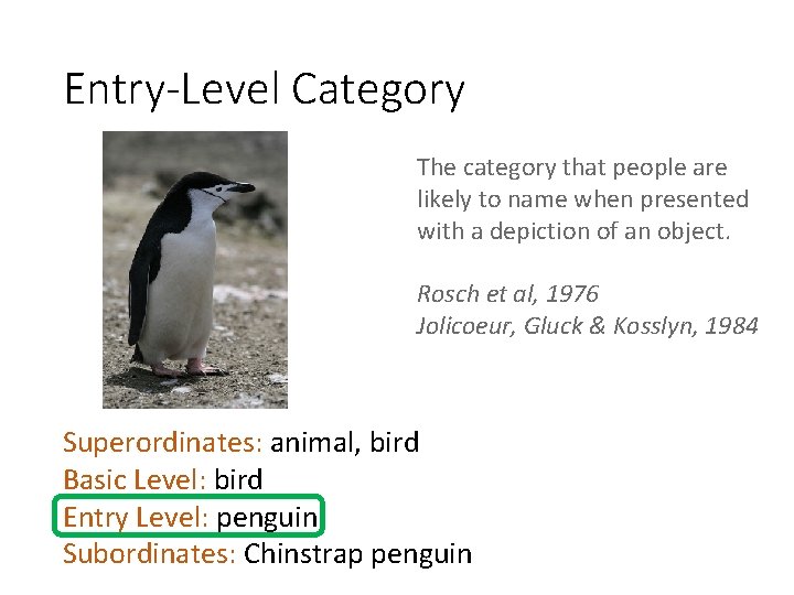 Entry-Level Category The category that people are likely to name when presented with a