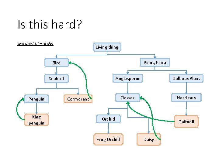 Is this hard? wordnet hierarchy Living thing Plant, Flora Bird Seabird Penguin King penguin