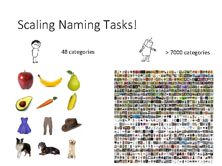 Scaling Naming Tasks! 48 categories > 7000 categories 