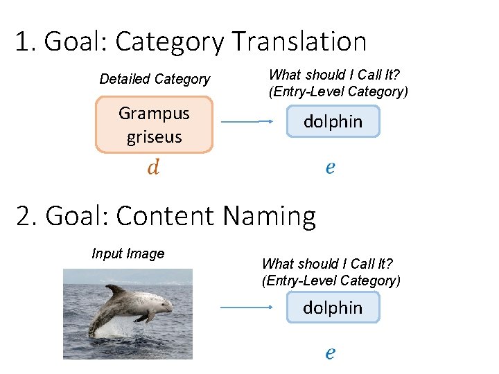 1. Goal: Category Translation Detailed Category Grampus griseus What should I Call It? (Entry-Level