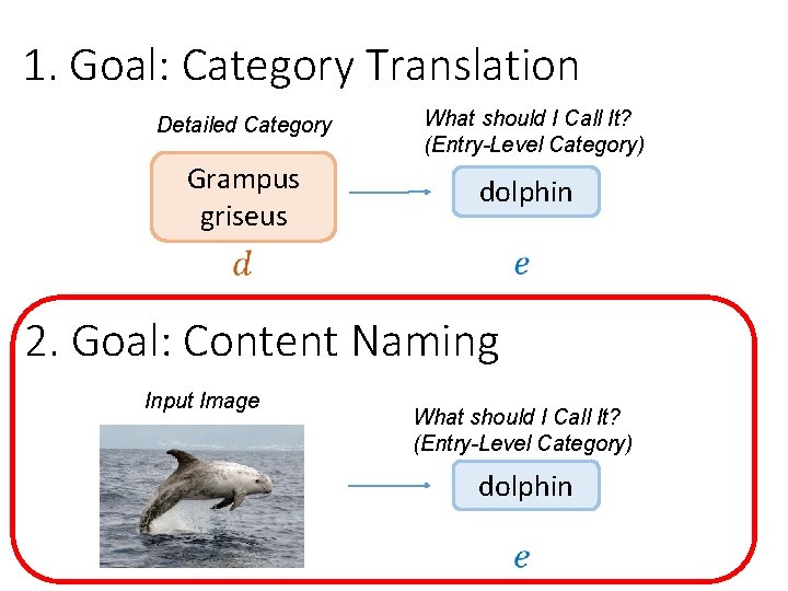 1. Goal: Category Translation Detailed Category Grampus griseus What should I Call It? (Entry-Level