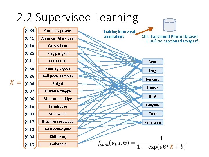 2. 2 Supervised Learning (0. 80) Grampus griseus (0. 41) American black bear (0.