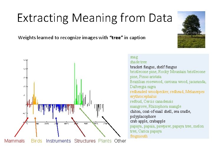 Extracting Meaning from Data Weights learned to recognize images with “tree” in caption Mammals