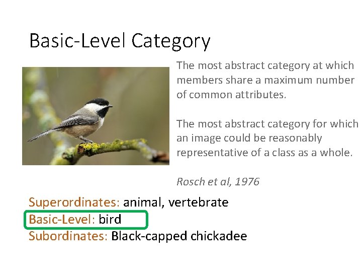 Basic-Level Category The most abstract category at which members share a maximum number of
