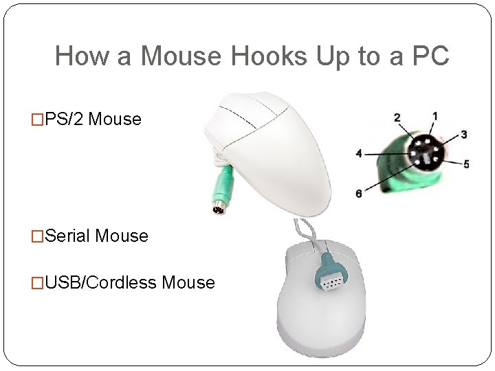 How a Mouse Hooks Up to a PC �PS/2 Mouse �Serial Mouse �USB/Cordless Mouse