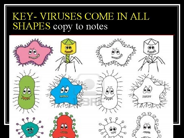 KEY- VIRUSES COME IN ALL SHAPES copy to notes 