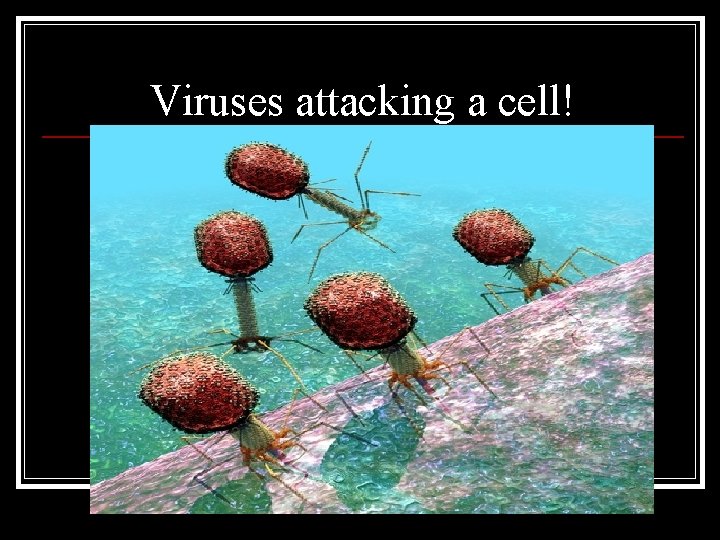 Viruses attacking a cell! 
