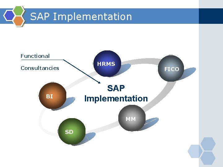 SAP Implementation Functional HRMS Consultancies FICO SAP Implementation BI MM SD 