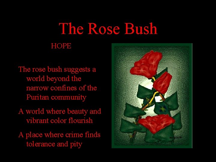 The Rose Bush HOPE The rose bush suggests a world beyond the narrow confines