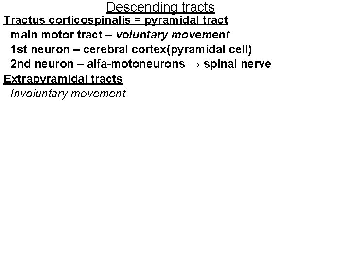 Descending tracts Tractus corticospinalis = pyramidal tract main motor tract – voluntary movement 1