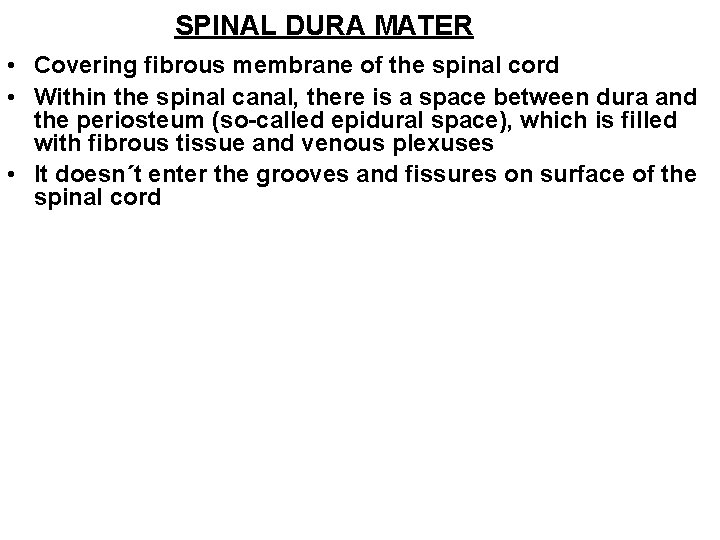 SPINAL DURA MATER • Covering fibrous membrane of the spinal cord • Within the