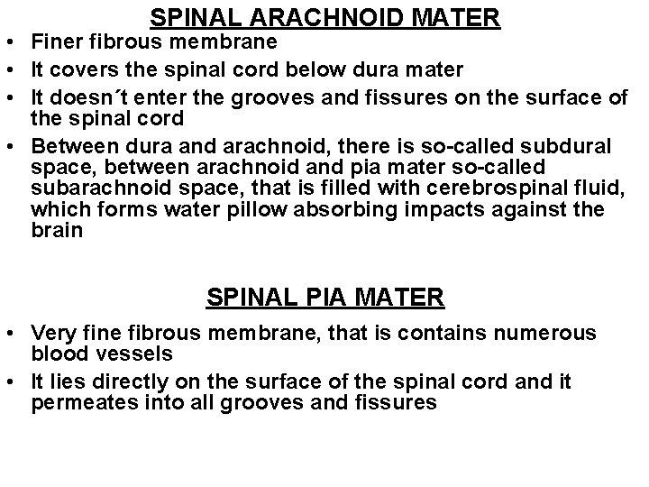 SPINAL ARACHNOID MATER • Finer fibrous membrane • It covers the spinal cord below