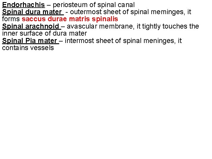 Endorhachis – periosteum of spinal canal Spinal dura mater - outermost sheet of spinal