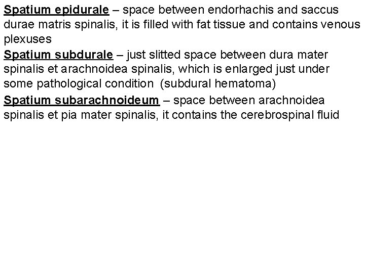 Spatium epidurale – space between endorhachis and saccus durae matris spinalis, it is filled