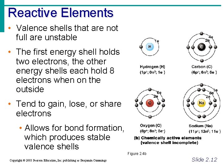 Reactive Elements • Valence shells that are not full are unstable • The first Reactive Elements • Valence shells that are not full are unstable • The first
