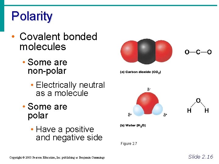 Polarity • Covalent bonded molecules • Some are non-polar • Electrically neutral as a Polarity • Covalent bonded molecules • Some are non-polar • Electrically neutral as a