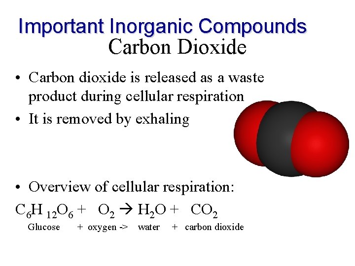 Important Inorganic Compounds Carbon Dioxide • Carbon dioxide is released as a waste product Important Inorganic Compounds Carbon Dioxide • Carbon dioxide is released as a waste product