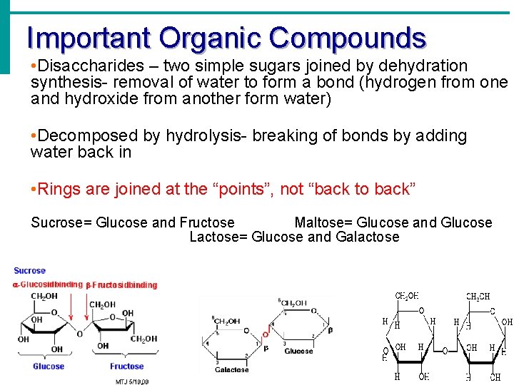 Important Organic Compounds • Disaccharides – two simple sugars joined by dehydration synthesis- removal Important Organic Compounds • Disaccharides – two simple sugars joined by dehydration synthesis- removal