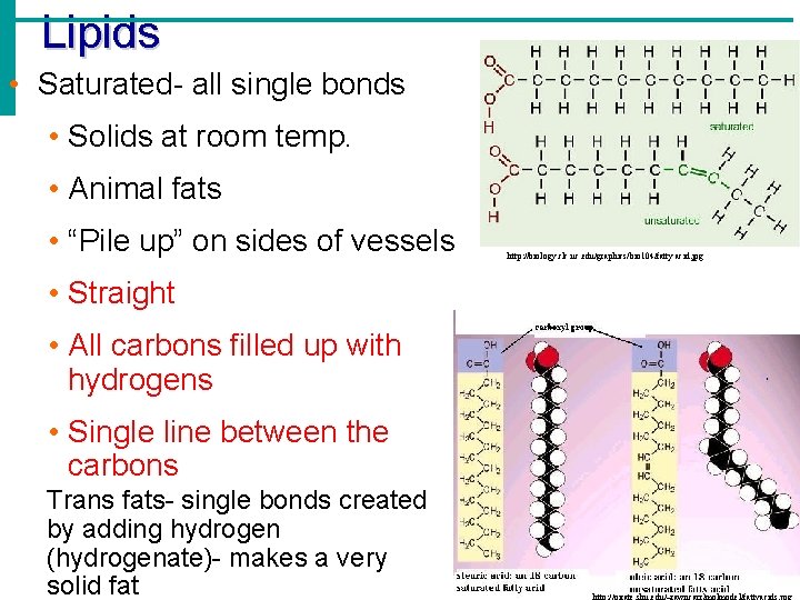 Lipids • Saturated- all single bonds • Solids at room temp. • Animal fats Lipids • Saturated- all single bonds • Solids at room temp. • Animal fats