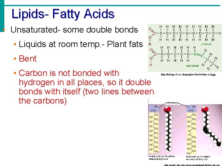 Lipids- Fatty Acids • Unsaturated- some double bonds • Liquids at room temp. - Lipids- Fatty Acids • Unsaturated- some double bonds • Liquids at room temp. -