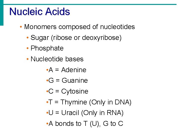 Nucleic Acids • Monomers composed of nucleotides • Sugar (ribose or deoxyribose) • Phosphate Nucleic Acids • Monomers composed of nucleotides • Sugar (ribose or deoxyribose) • Phosphate